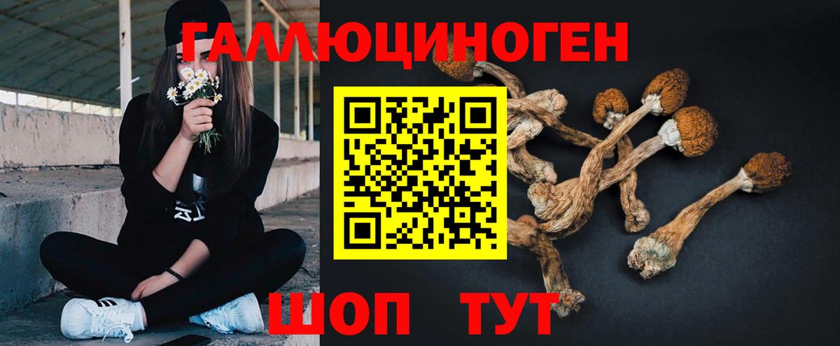 Псилоцибиновые грибы прущие грибы  где найти наркотики  Советский  Вход с VPN 